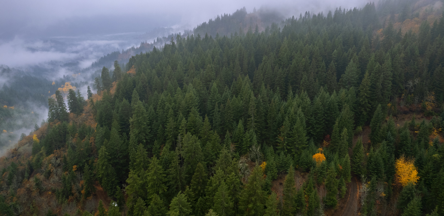 コロンビアの山岳地帯に3Dプリント住宅が建設